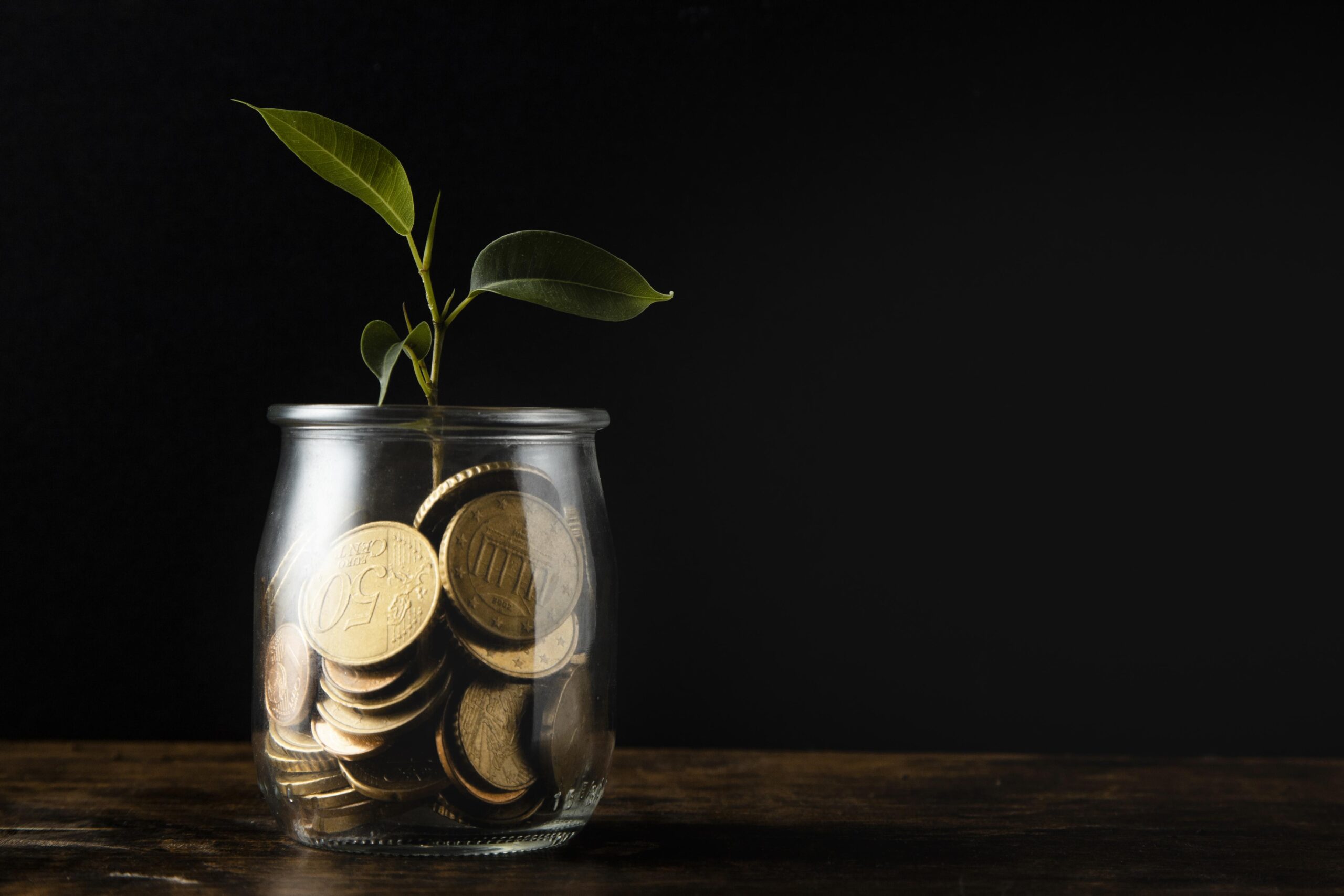 front-view-plant-growing-from-jar-with-coins-copy-space